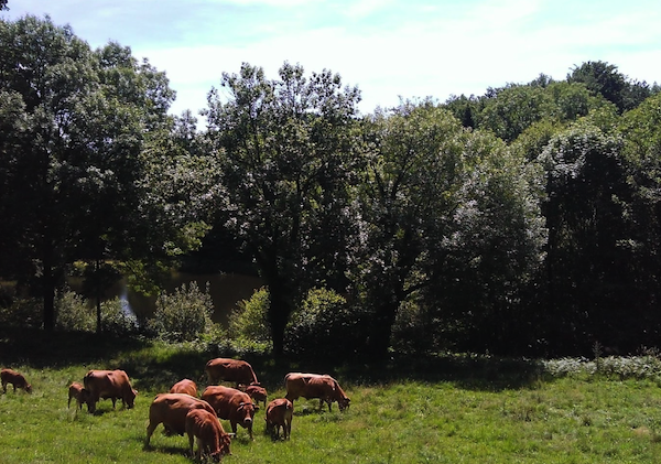 Sport et territoires